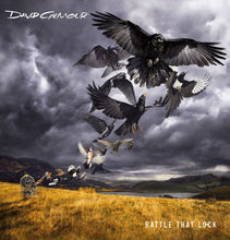 Load image into Gallery viewer, David Gilmour - Rattle That Lock - Deluxe Box Set - 2 CD &amp; DVD