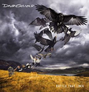 David Gilmour - Rattle That Lock - Deluxe Box Set - 2 CD & DVD
